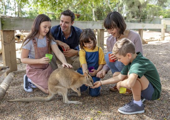 Family feeding a wallaby at Featherdale Wildlife Park, Doonside in Sydney west