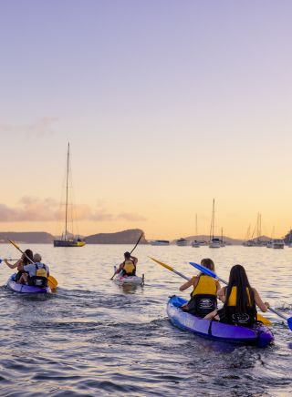 Sunrise kayaking experience in Pittwater with Pittwater Kayak Tours, Palm Beach