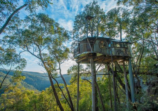 Love Cabins - Blue Mountains Treehouse 